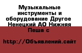 Музыкальные инструменты и оборудование Другое. Ненецкий АО,Нижняя Пеша с.